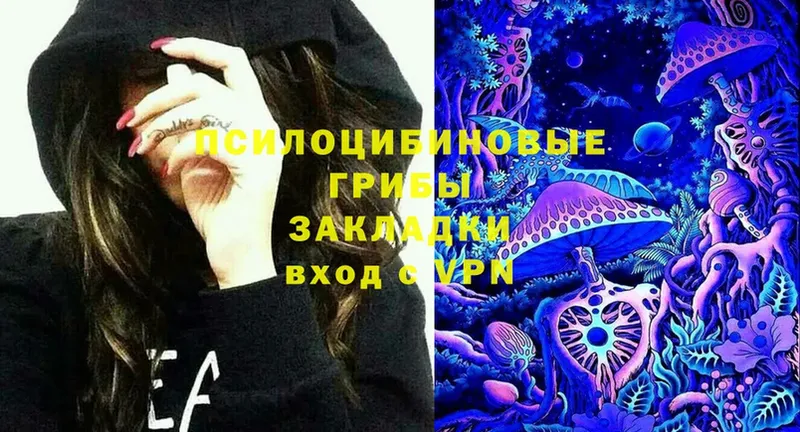 мега зеркало  Полевской  Галлюциногенные грибы Cubensis 